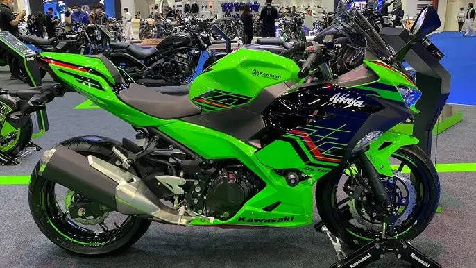 Kawasaki Versys-X 300